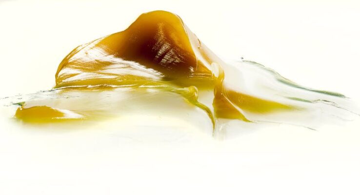 Mỡ bôi trơn đóng vai trò quan trọng trong nhiều ngành công nghiệp khác nhau